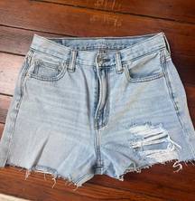 American Eagle Outfitters Denim Shorts