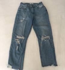 JBD Distressed Ankle Jeans