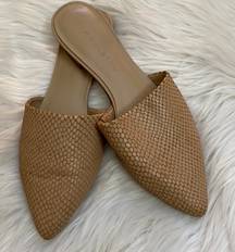 Halston Beige Mules