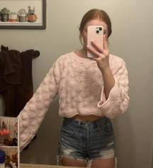 Francesca's Sweater