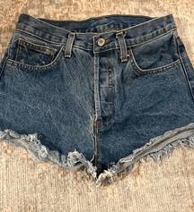 John Galt Dark Wash Jean Shorts