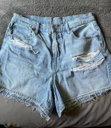 American Eagle Outfitters Shorts