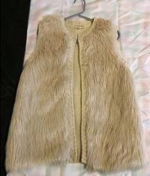 Eyeshadow fur vest