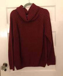 NWOT Francesca’s Sweater