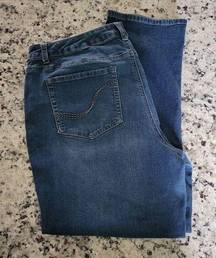 Falls Creek Denim Jean Size 18 S