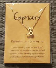 CAPRICORN Constellation Pendant Necklace