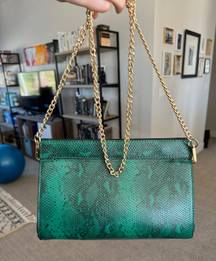 Green Snake Embossed Clutch/Purse