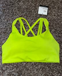 Padded Sports Bra