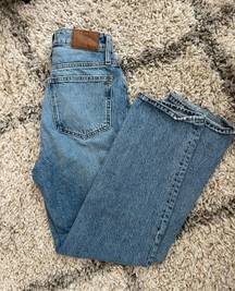 Curvy Perfect Vintage Straight Jeans