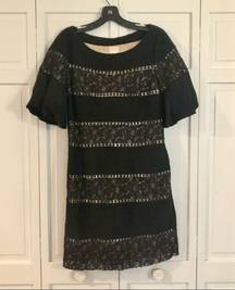 Tracy Reese lace trim ruffle sleeve dress size 6