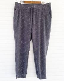 Xersion women’s Jogger sweatpants Size XL