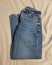 American Eagle Outfitters Mom Jeans