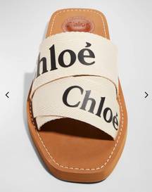 Chloe Woody Flat Sandals 