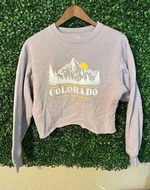 Hollister  Purple Cropped Colorado Crewneck Size XS