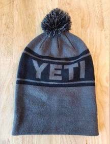 Yeti winter hat gray