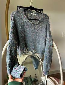 Wild Honey  sweater