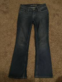 American Eagle flared low rise jeans