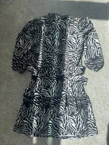 River Island Zebra Dress