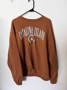 Hollister brown graphic crewneck sweatshirt