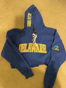 University Of Delaware Hoodie