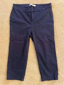 Lila Ryan Women’s 6P Navy Pants