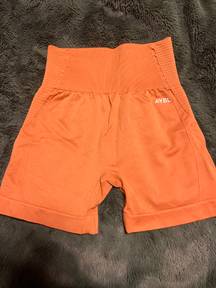 Balance V2 Seamless Shorts - Spiced Orange