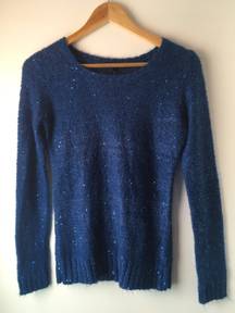 Blue Sweater, Small