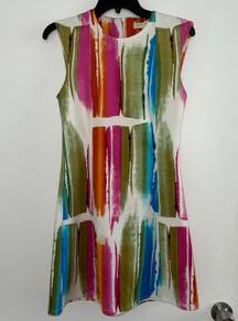 Colorful Paint Brush Dress small