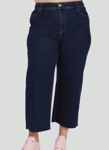 Dex Plus Jeans Womens 20 Blue Milly Super High Rise Culotte Raw Hem New