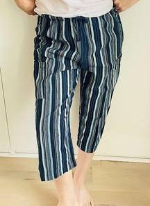 Fresh Produce Women’s Cargo Capri Summer Pant navy Striped Small Beachy Coastal