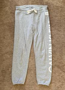 Gray Cropped Jogger / Sweats