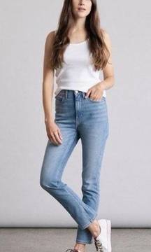 Elizabeth & James High Rise Vintage Straight Jeans size 8 / 29