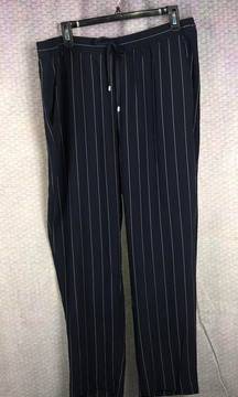 Blue Striped Pants L NWT