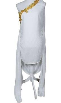 Music Legs Sexy Greek Goddess Beauty Costume Size  1X/2X Roman Toga Halloween