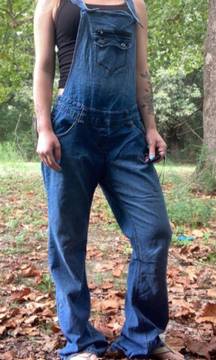 Vintage y2k  overall jeans pants