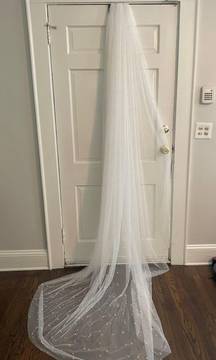 Cathedral Wedding Veil