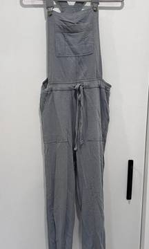 Wallflower Overalls 