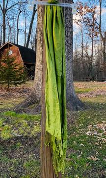 Apple Green 100% Rayon Scarf With Fringe