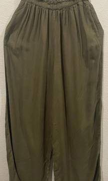 AMERICAN EAGLE Wide Leg Olive Green Pants