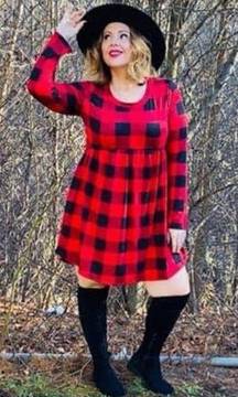 Haptics By‎ Holly Harper Red Black Buffalo Plaid Babydoll Dress Women’s Size S