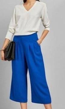NWT Ted Baker London Zetta Pleated Culottes 4 (10) Blue