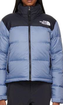 North face 1996 Retro Nutspe Down Jacket