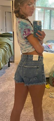 ZARA Denim Shorts