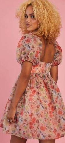 Dolls Kill NWT Sugar Thrillz My Winding Wheel Floral Organza Puff Sleeve Babydoll Dress XL