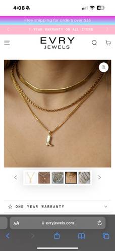 evry jewls necklace Gold