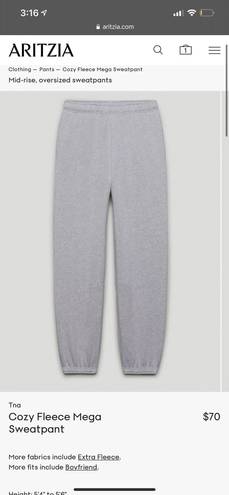 Tna aritzia sweatpants Gray