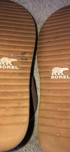 Sorel Ella II Sandal Sandals In Ash Brown Size 9