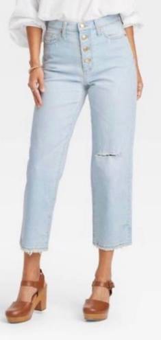 Universal Threads Universal Thread High-Rise Vintage Straight Jeans