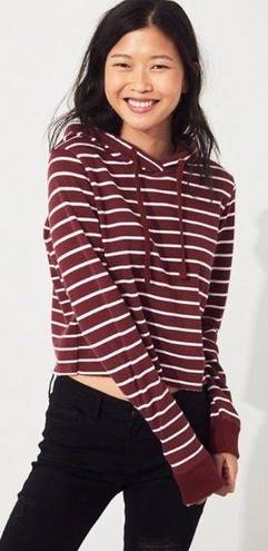 Hollister Striped Hooded Crop Top in Burgundy size S