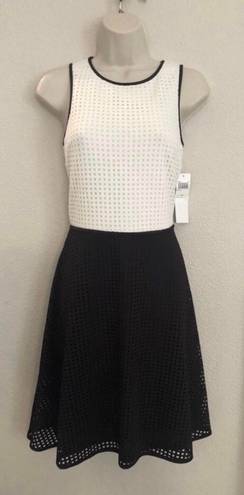 London Times NWT  black & white mesh dress. Sz 4